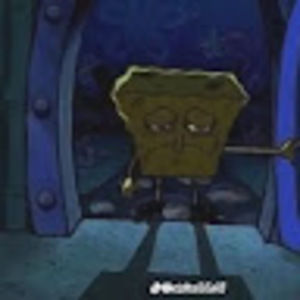 Meet your Posher, Jayla